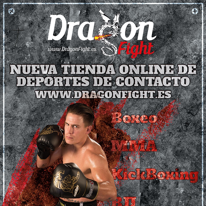 Póster Publicidad Dragon Fight